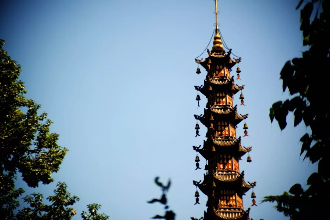 640.webp (1).jpg 640.webp (1).jpg