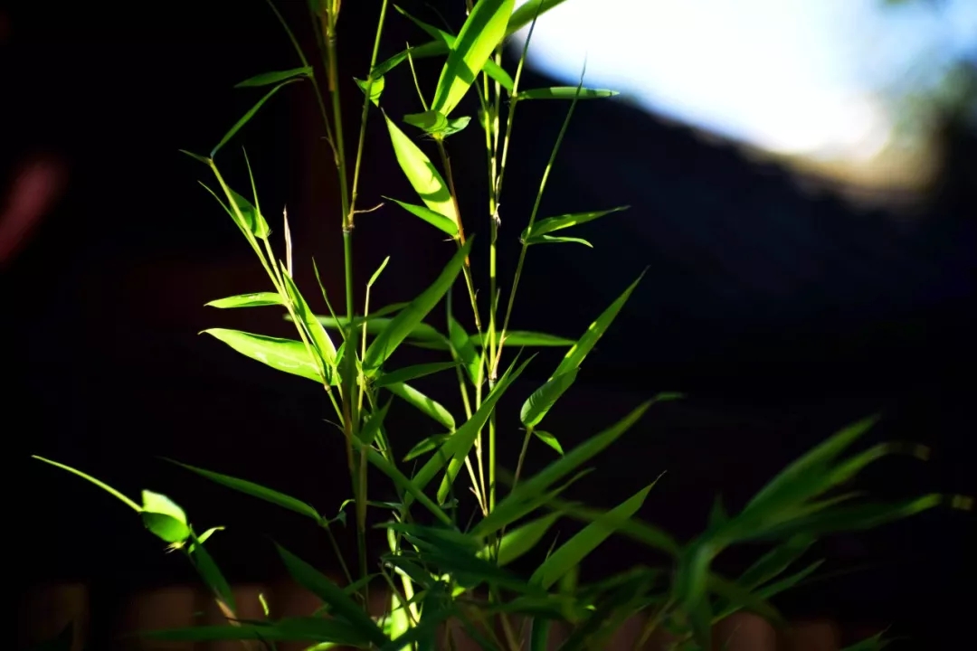 640.webp (2).jpg 640.webp (2).jpg