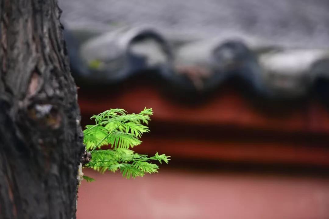 微信图片_20190821225406.jpg 微信图片_20190821225406.jpg