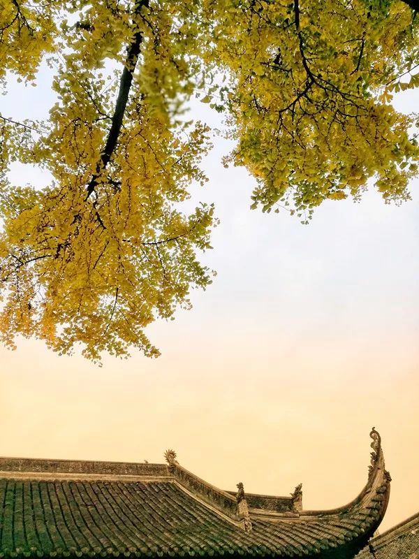 640-17.jpg 640-17.jpg