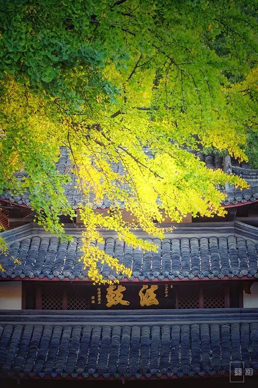 640-19.jpg 640-19.jpg