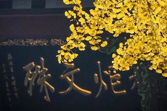 640-11.jpg 640-11.jpg