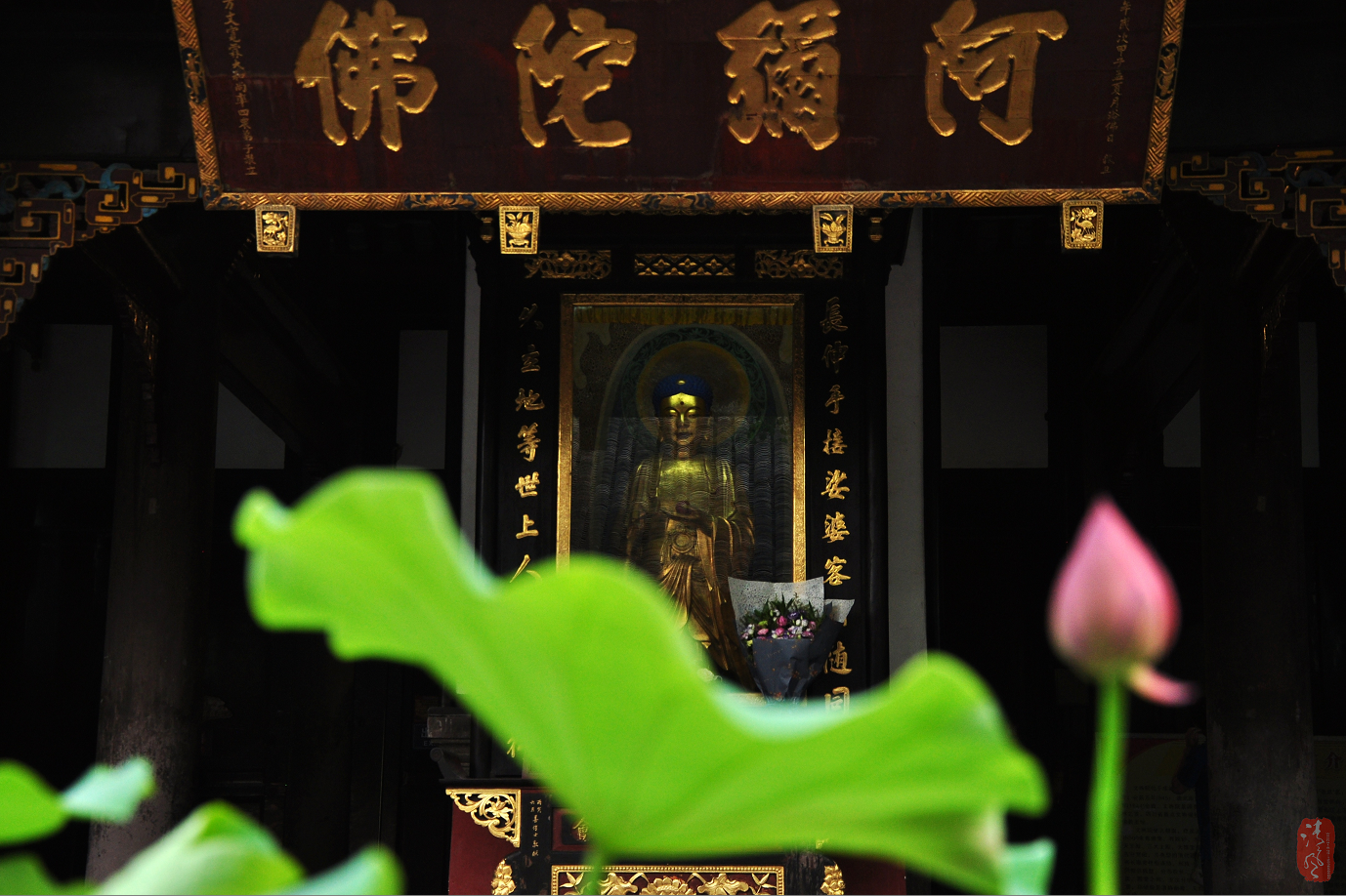 WechatIMG717.png WechatIMG717.png