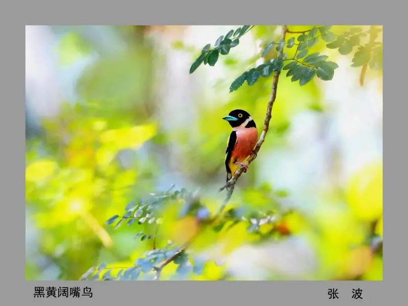 640-61.jpg 640-61.jpg