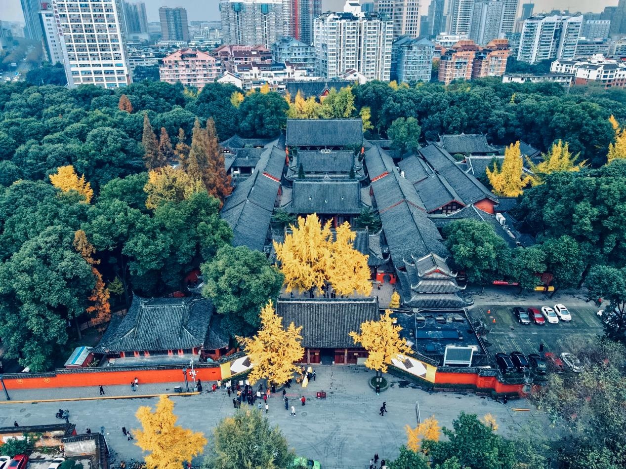 图片1_副本.jpg 图片1_副本.jpg